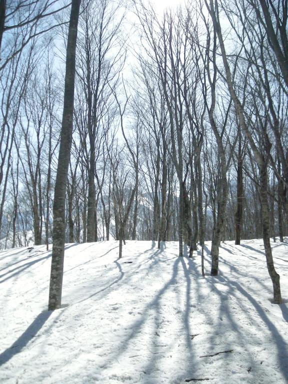 Villa Komakusa Hakuba Buitenkant foto